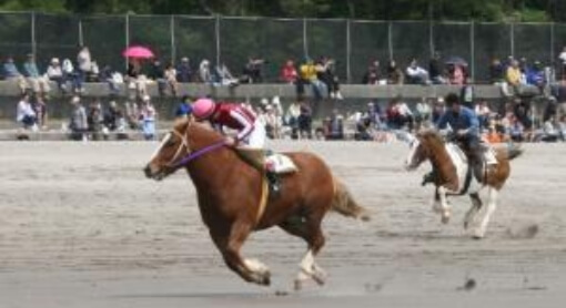 串木野浜競馬大会
