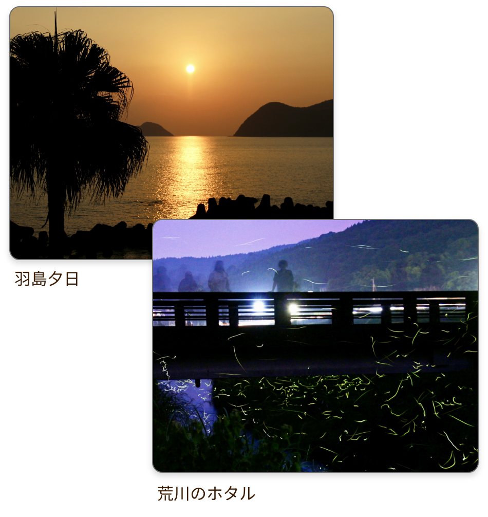 夕日と静かな暮らし